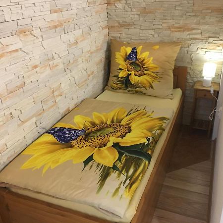 Apartman Slunecnice S Terasou Ceske Budejovice Ngoại thất bức ảnh